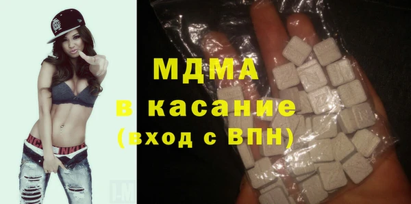 гашик Алексин
