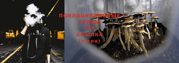 Альфа ПВП Магас