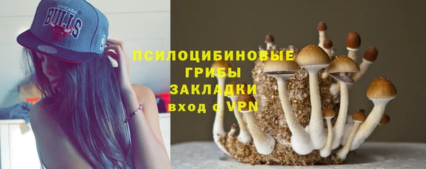 ECSTASY Алзамай