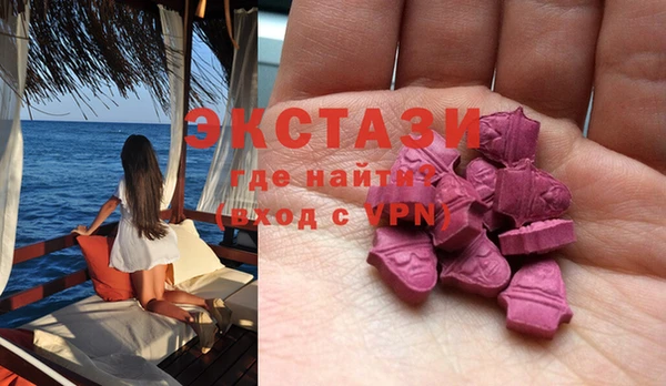 ECSTASY Алзамай