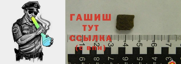 гашик Алексин