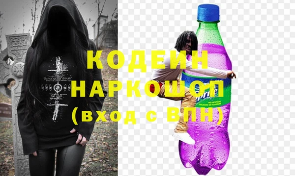 гашик Алексин