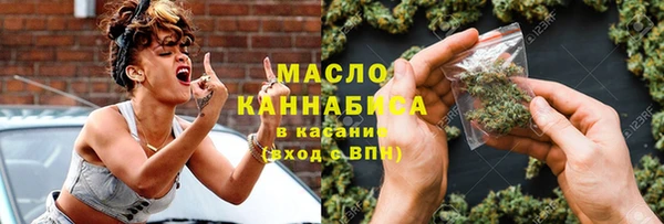 гашик Алексин
