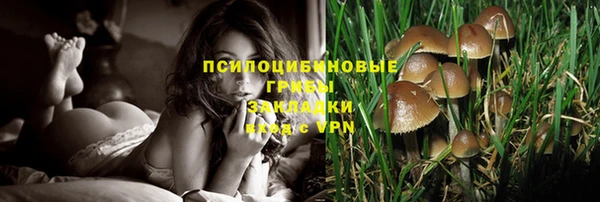 ECSTASY Алзамай