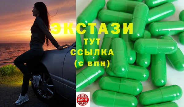 гашик Алексин