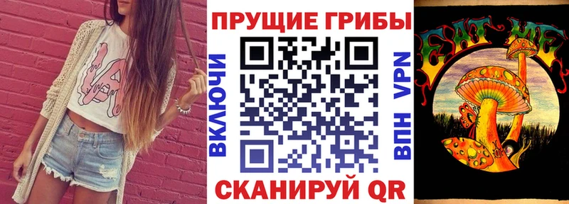 Псилоцибиновые грибы ЛСД  где найти   Находка 